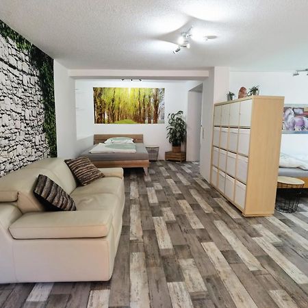 Ferienwohnung - Appartement "Painted Horse" Im Herzen Des Pfaelzer Waldes Reichenbach-Steegen Екстериор снимка