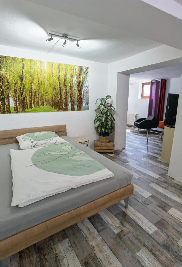 Ferienwohnung - Appartement "Painted Horse" Im Herzen Des Pfaelzer Waldes Reichenbach-Steegen Екстериор снимка