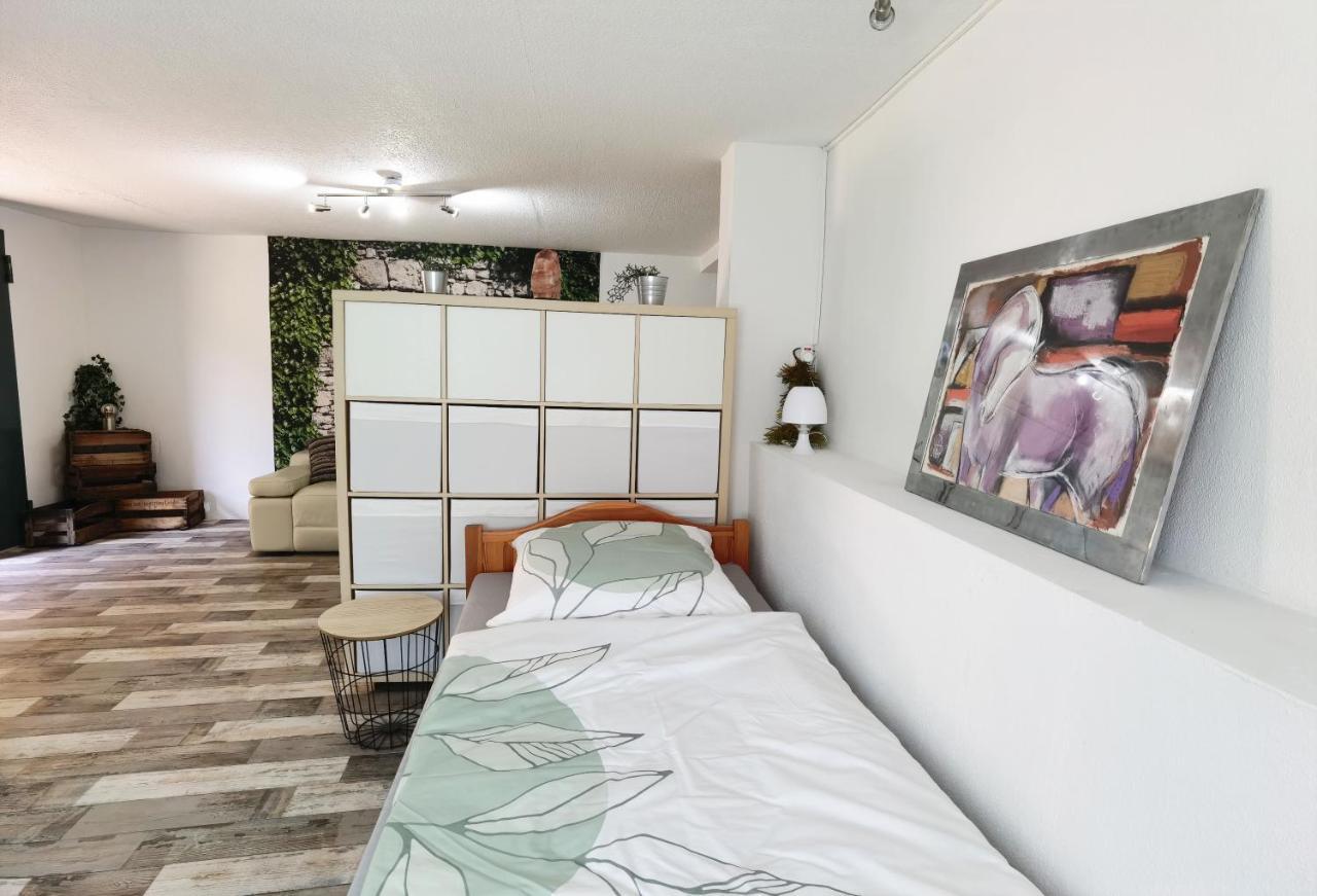 Ferienwohnung - Appartement "Painted Horse" Im Herzen Des Pfaelzer Waldes Reichenbach-Steegen Екстериор снимка