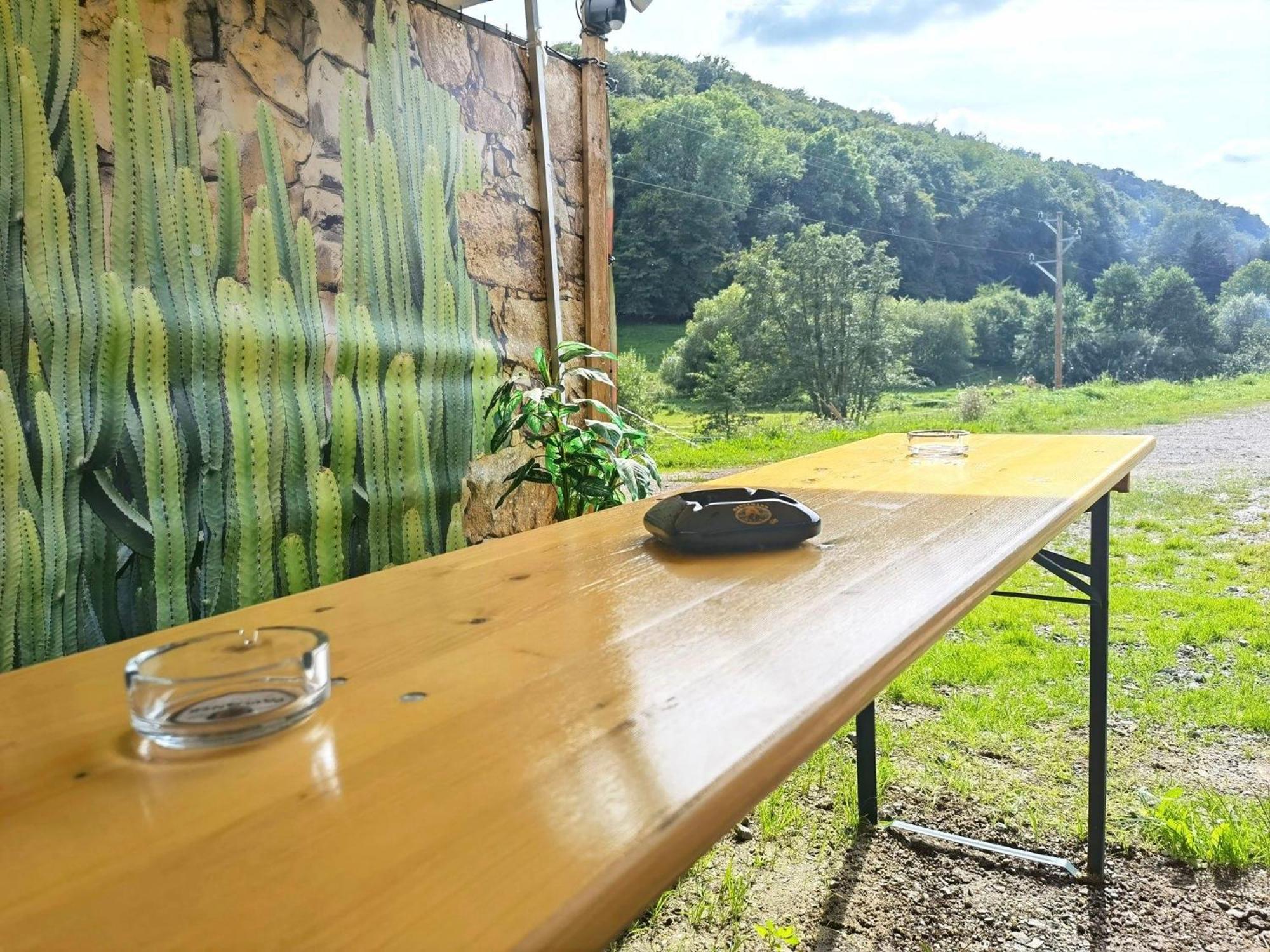 Ferienwohnung - Appartement "Painted Horse" Im Herzen Des Pfaelzer Waldes Reichenbach-Steegen Екстериор снимка