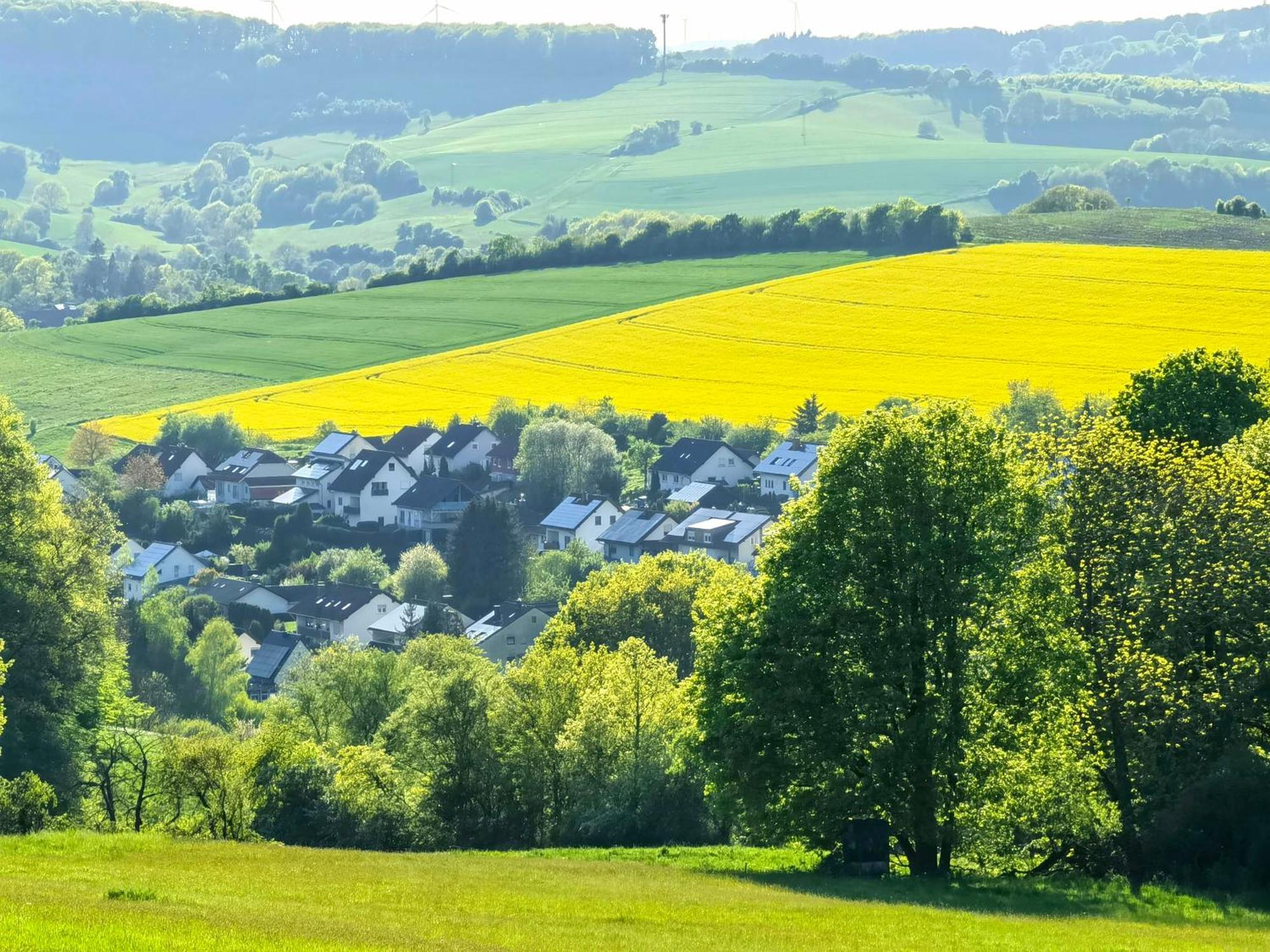 Ferienwohnung - Appartement "Painted Horse" Im Herzen Des Pfaelzer Waldes Reichenbach-Steegen Екстериор снимка